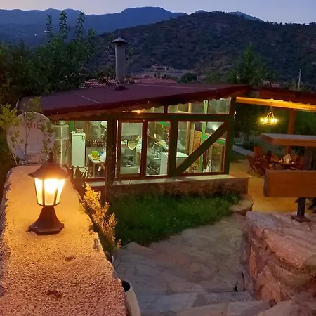 Begonvillage * داتْشا