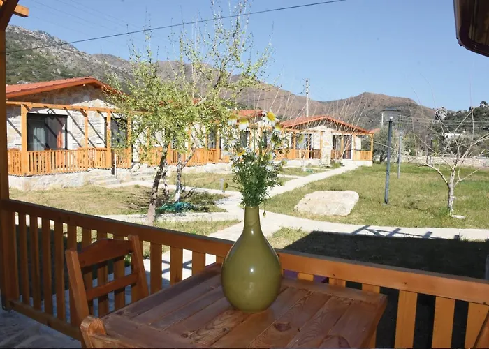 Holiday home Begonvillage